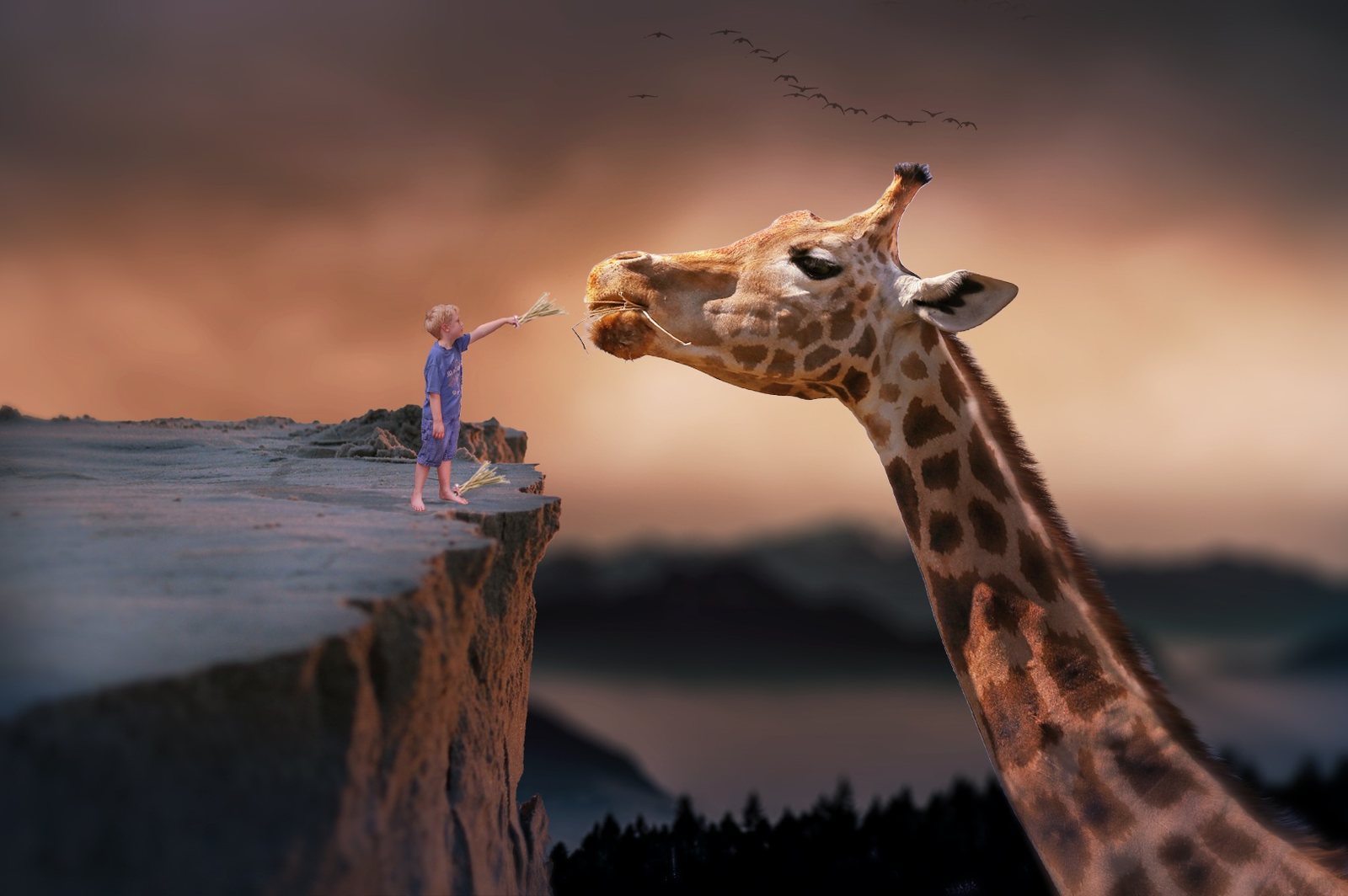 Mensch auf einer Klippe reicht einer Giraffe die Hand – Sinnbild für Verständigung